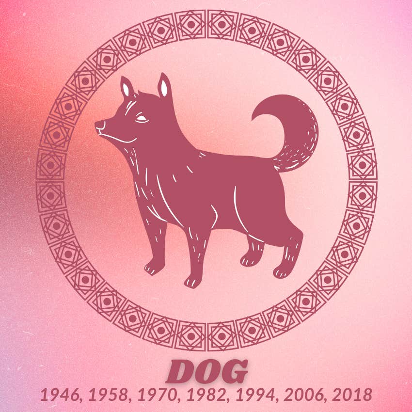 dog chinese zodiac signs luck prosperity January 18 2026