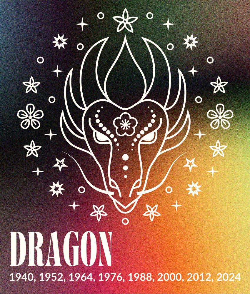 dragon chinese zodiac signs january horoscopes 2026