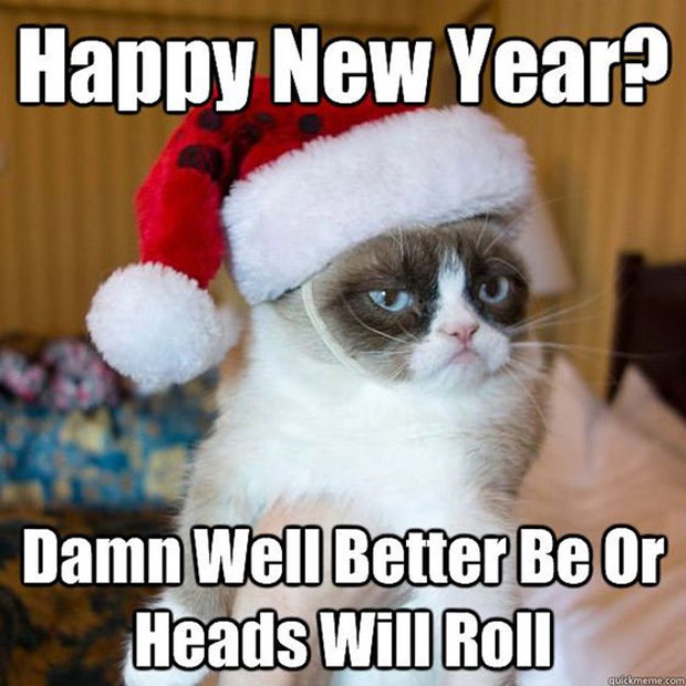 grumpy cat funny new year meme new years memes