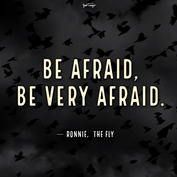 The Fly Halloween movie quote halloween movie quotes