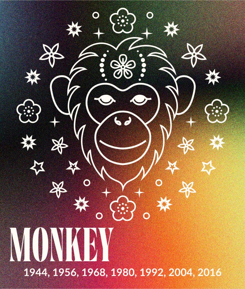 monkey chinese zodiac signs luck love january 19 - 25, 2026