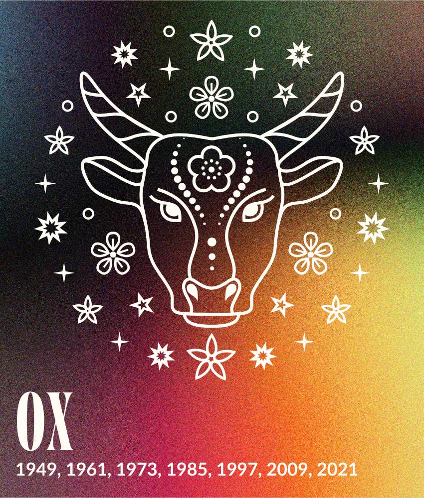 ox chinese zodiac signs january horoscopes 2026