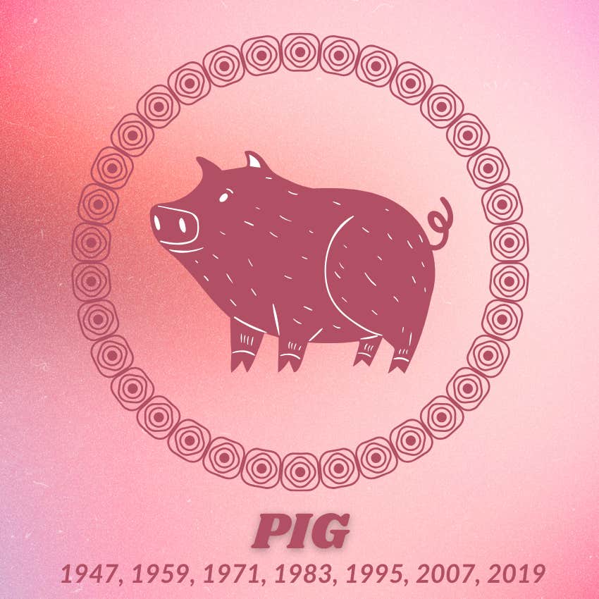 pig chinese zodiac signs luck prosperity January 18 2026