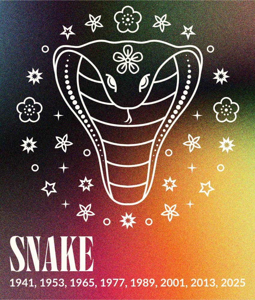 snake chinese zodiac signs january horoscopes 2026